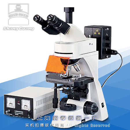 �ɹ��@΢�RXSP-63A