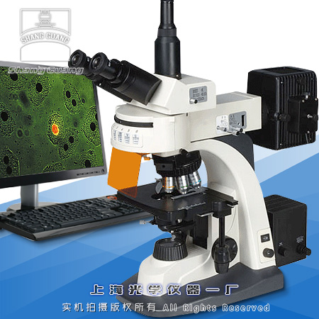 �ɹ��@΢�RXSP-63B